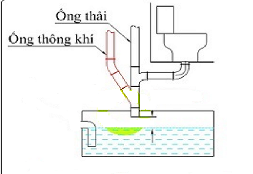 Cách lắp ống bể phốt