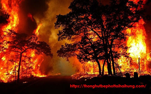 cháy rừng gây ô nhiễm không khí