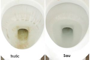 Bật mí cách vệ sinh bồn cầu nhà vệ sinh sạch 100%
